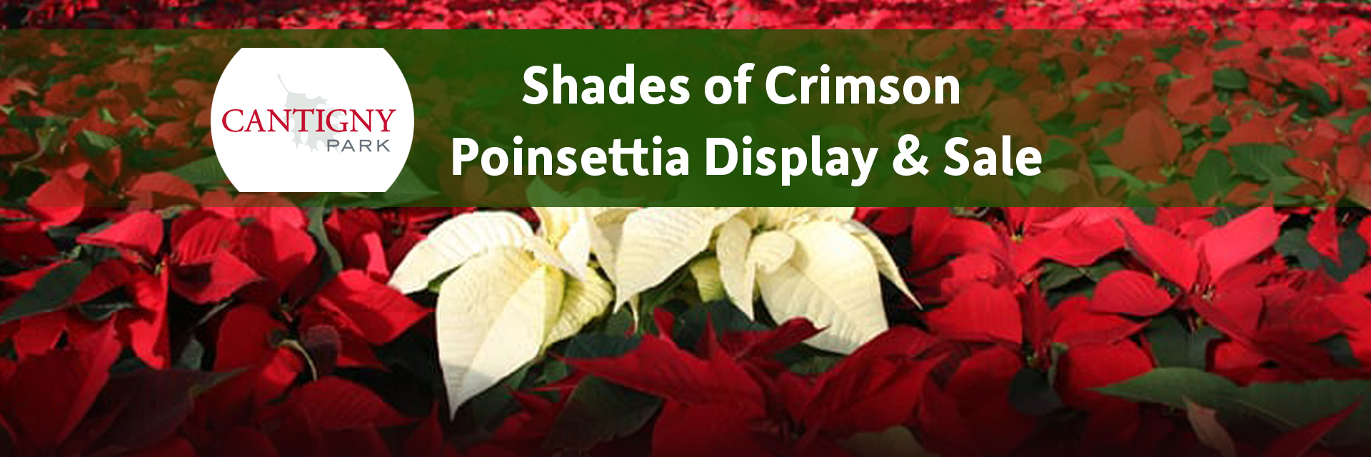 Events-Cantigny-Poinsettia Sale