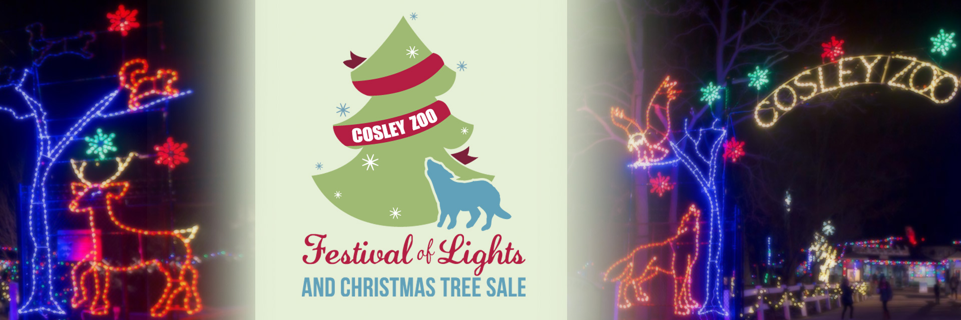 Cosley Zoo Festival of Lights and Christmas Tree Sale