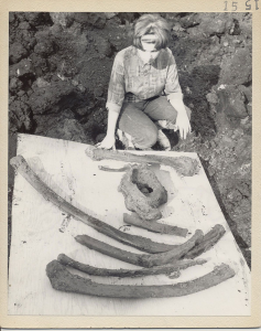 Charlotte Derksen '66 with mastodon bones