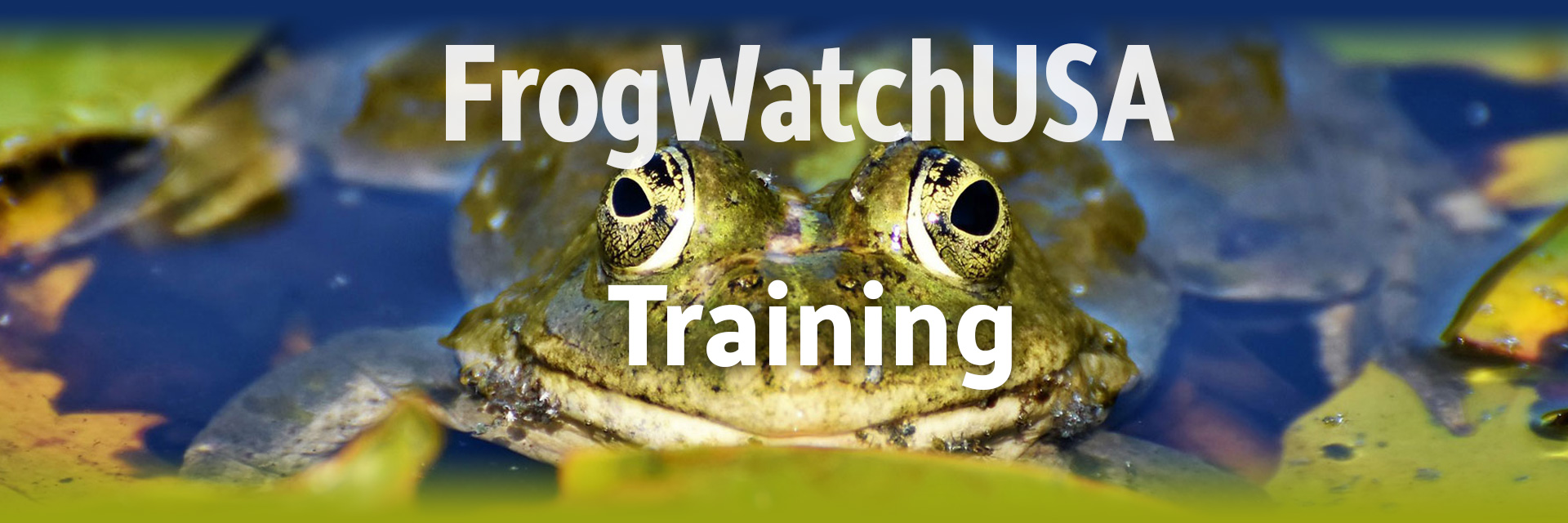 FrogWatchUSA Training-Zoo