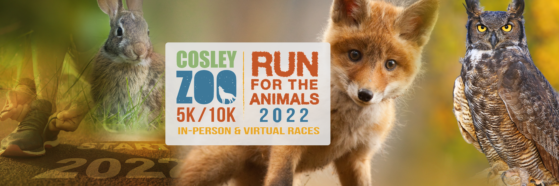 Run for the Animals-Cosley Zoo-Wheaton