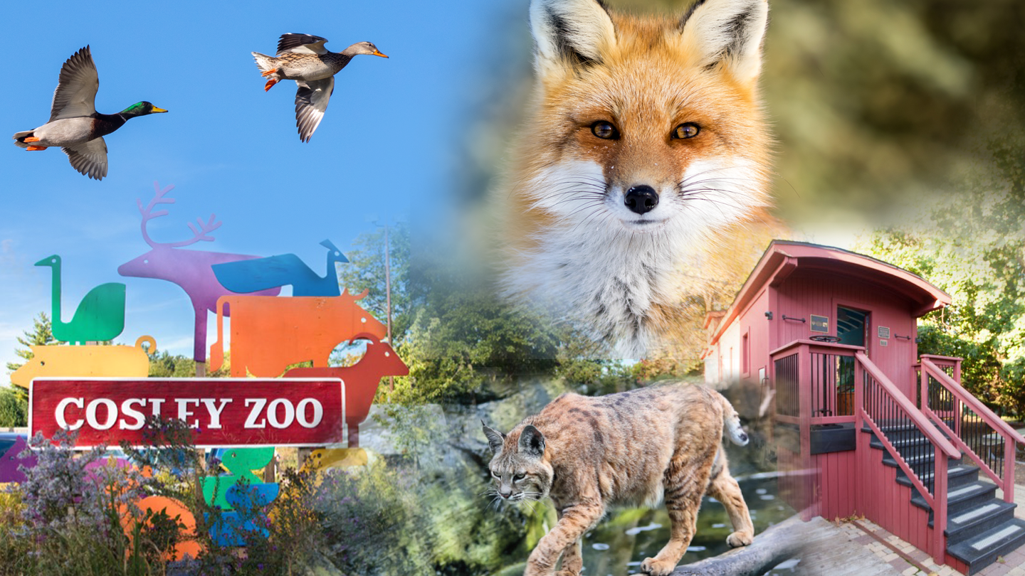 Cosley Zoo, Wheaton, Illinois - Park & Family Fun