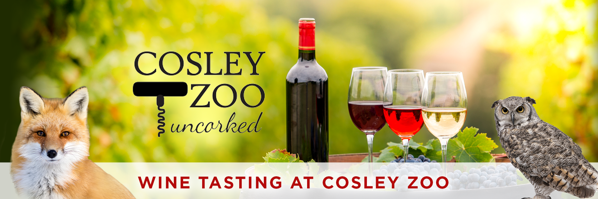 Cosley Zoo-Wine Tasting