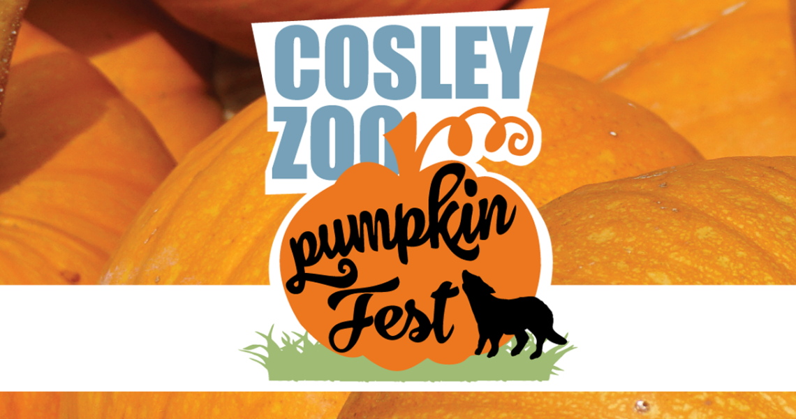 Cosley Zoo-Pumpkin Fest