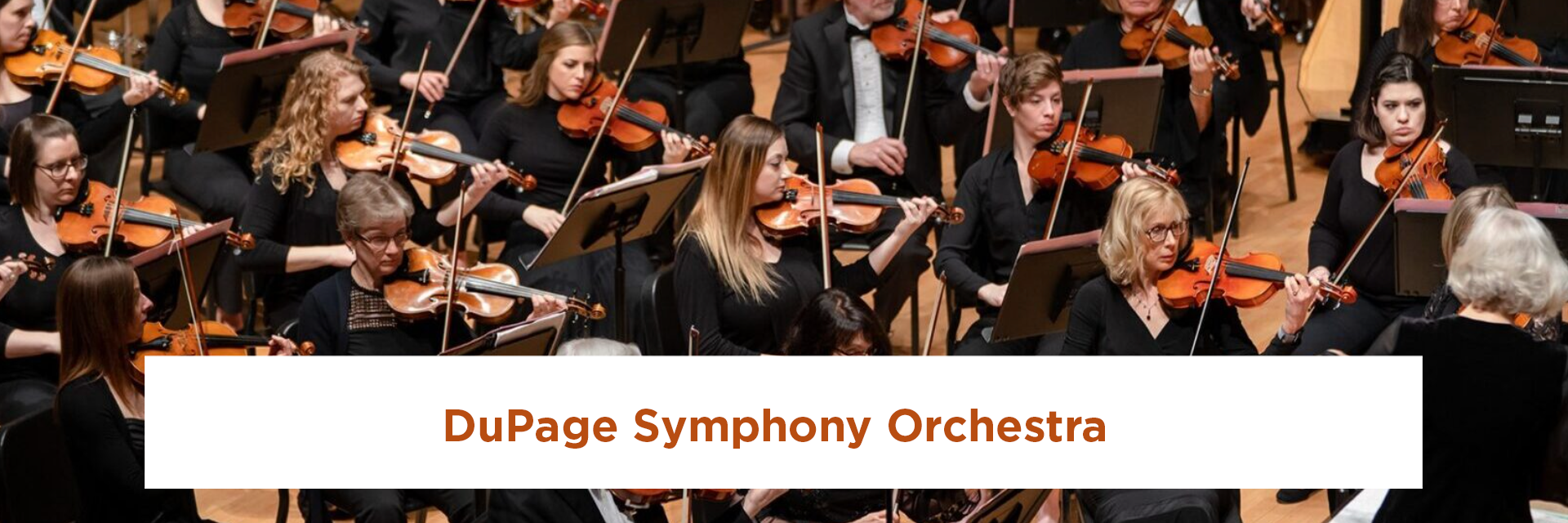 DuPage Symphony Orchestra-Memorial Park