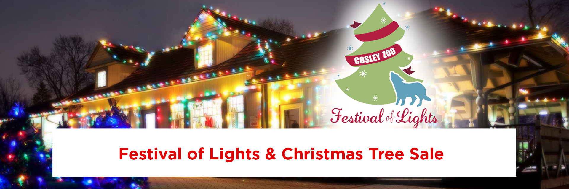 Cosley Zoo - Festival of Lights-Christmas Tree Sale