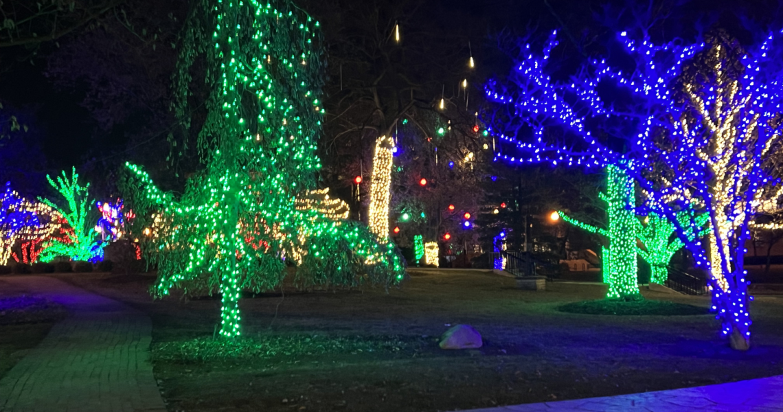 Adams Park-Christmas-Holiday Lights