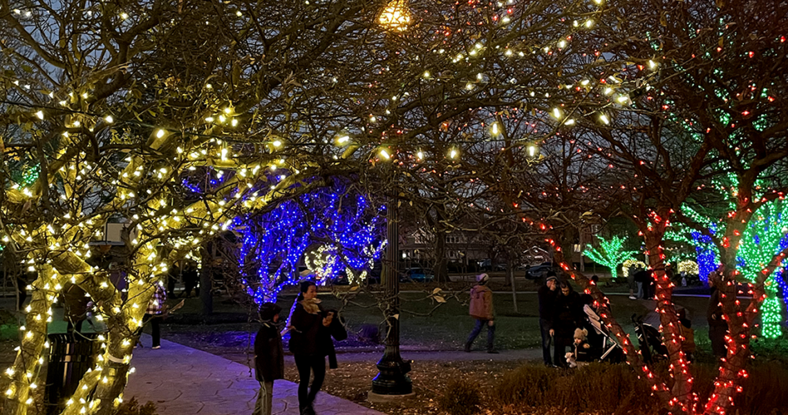 Adams Park-Christmas-Holiday Lights
