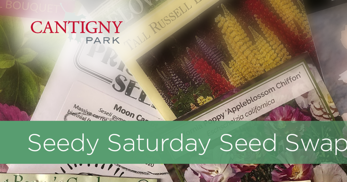 Cantigny-Seedy Saturday Seed Swap