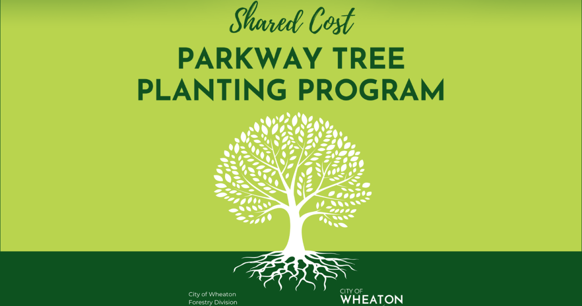 Parkway Tree Planting Program