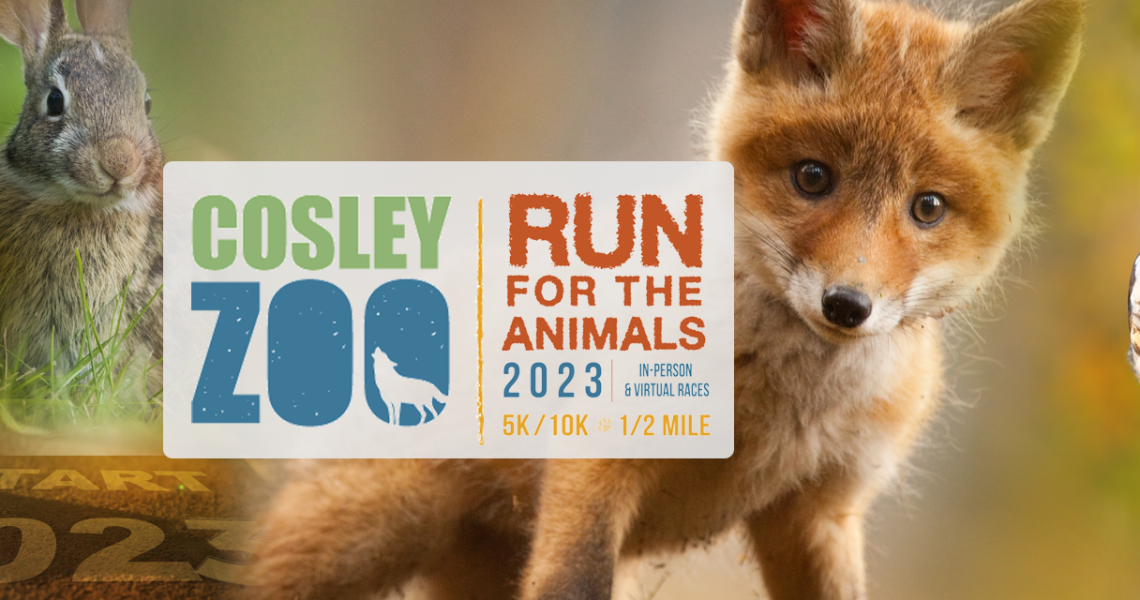 Cosley Zoo-Run for the Animals-2023