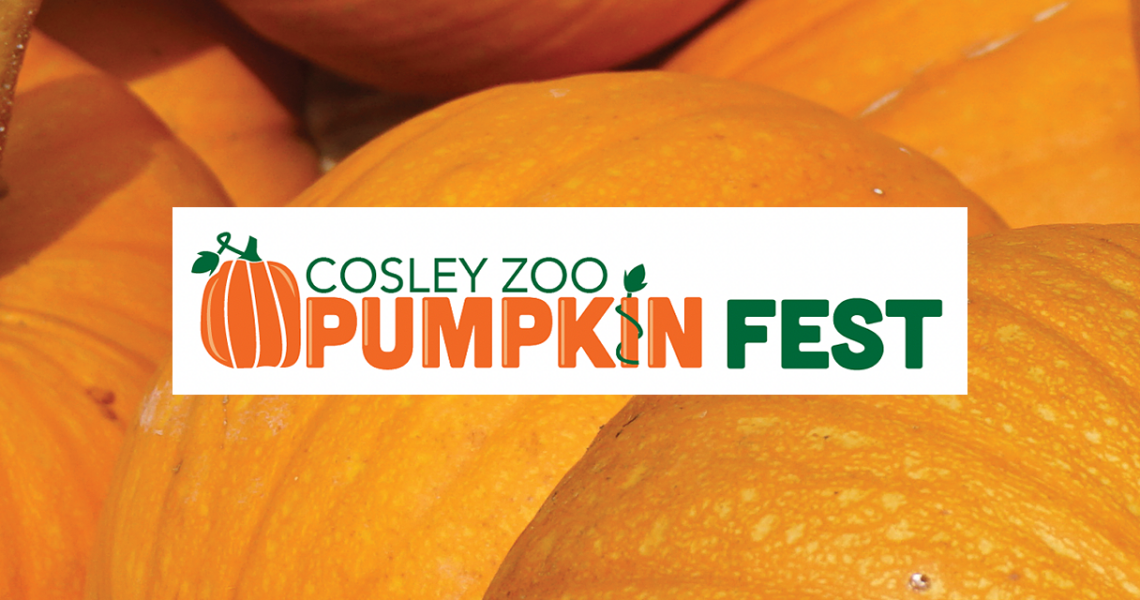 Pumpkin-Fest-2023-Cosley Zoo