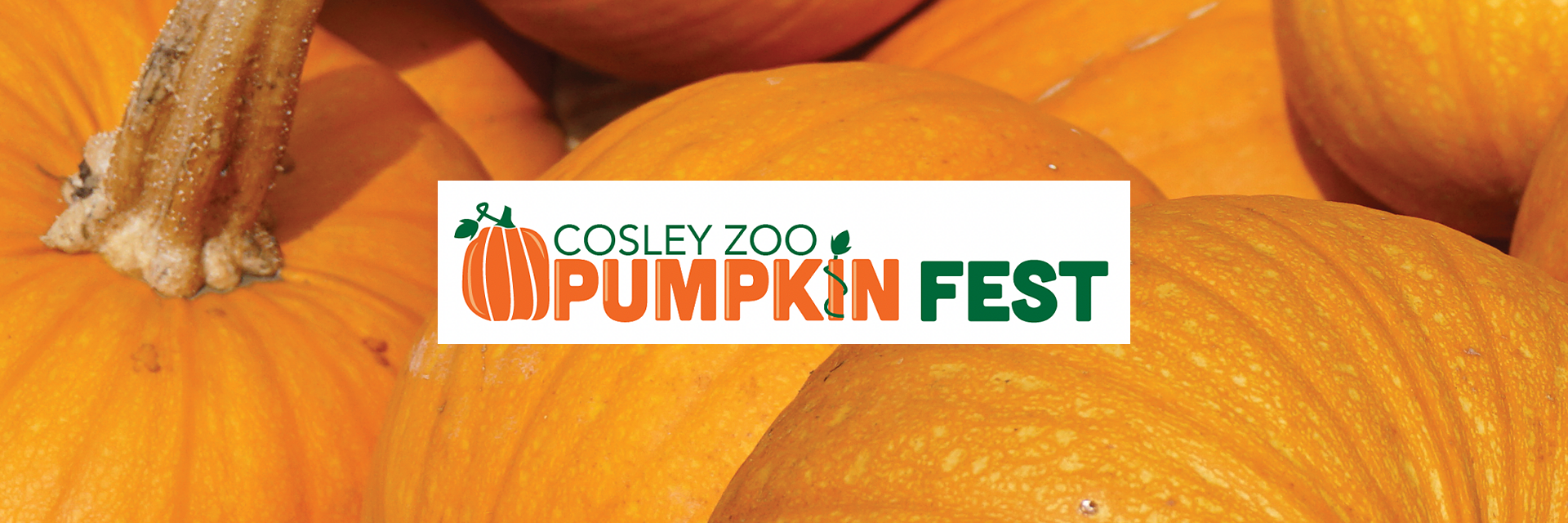 Pumpkin-Fest-2023-Cosley Zoo