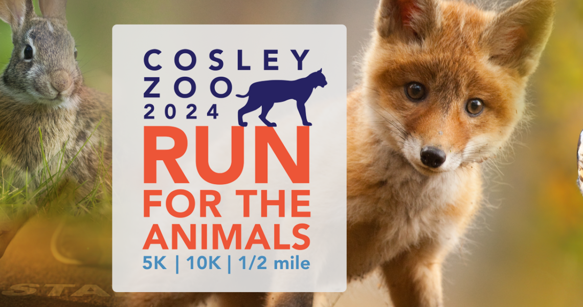 Cosley-Zoo-Run for the Animals-2024