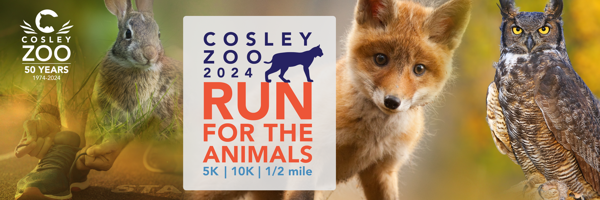 Cosley-Zoo-Run for the Animals-2024