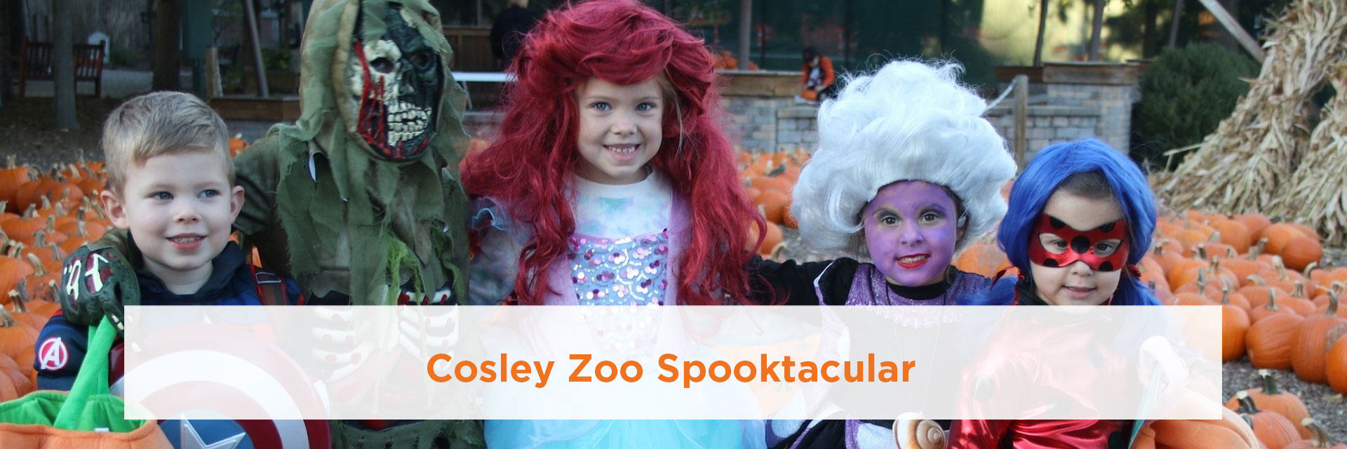 Cosley Zoo Spooktacular