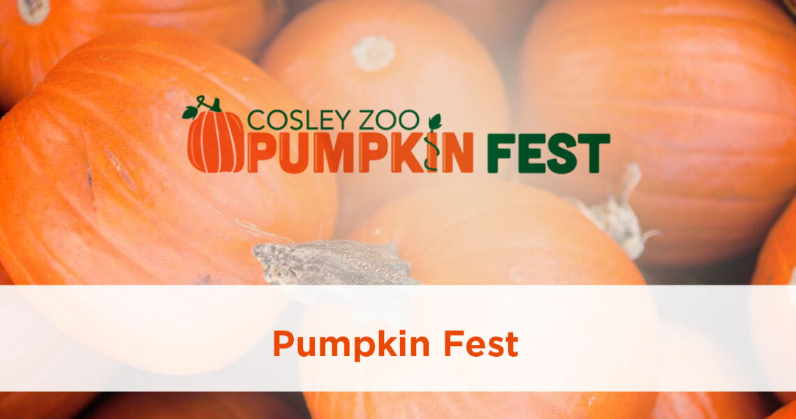 Pumpkin Fest at Cosley Zoo