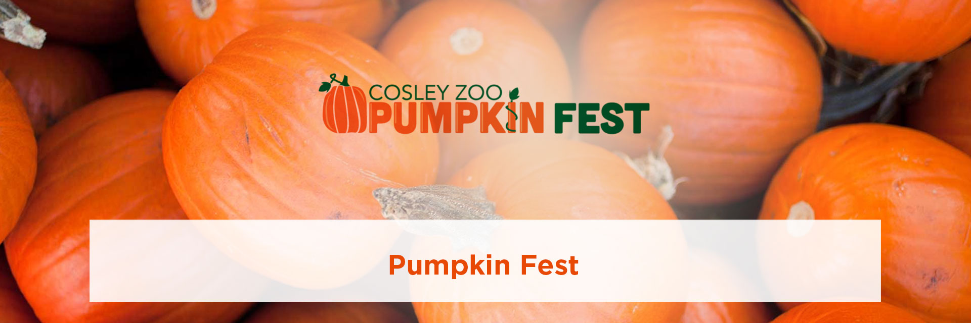 Pumpkin Fest at Cosley Zoo
