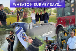 Wheaton Survey Results-2025