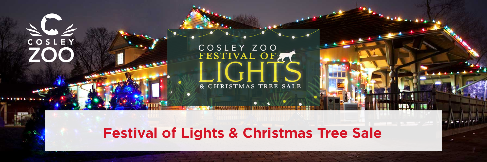 Cosley-Zoo-Festival-Lights-2025