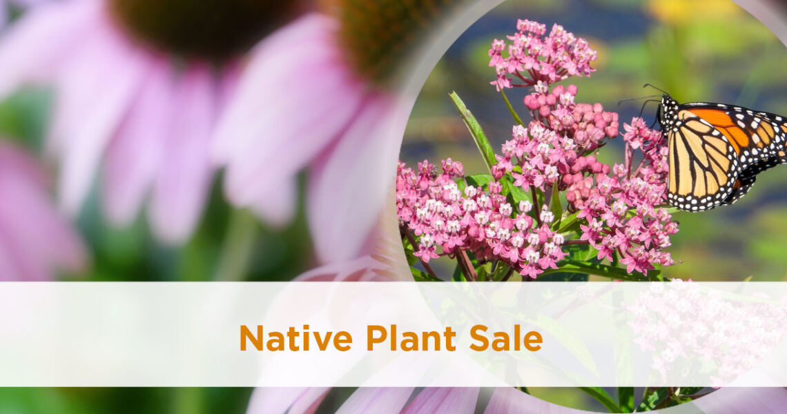 Native Plant Sale